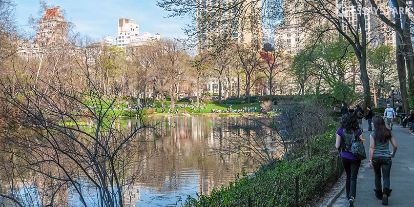 Girl Walking in the Central Park